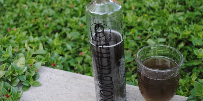 Beneficios de la Kombucha Bruja Sana