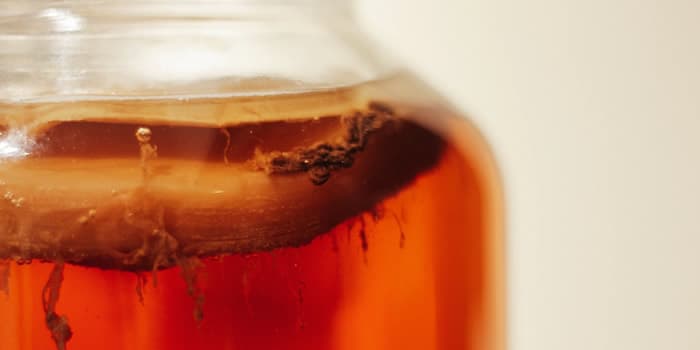 Fermentos y Kombucha Bruja Sana