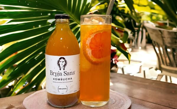 Kombucha Bruja Sana servida entre la vegetación de la selva maya