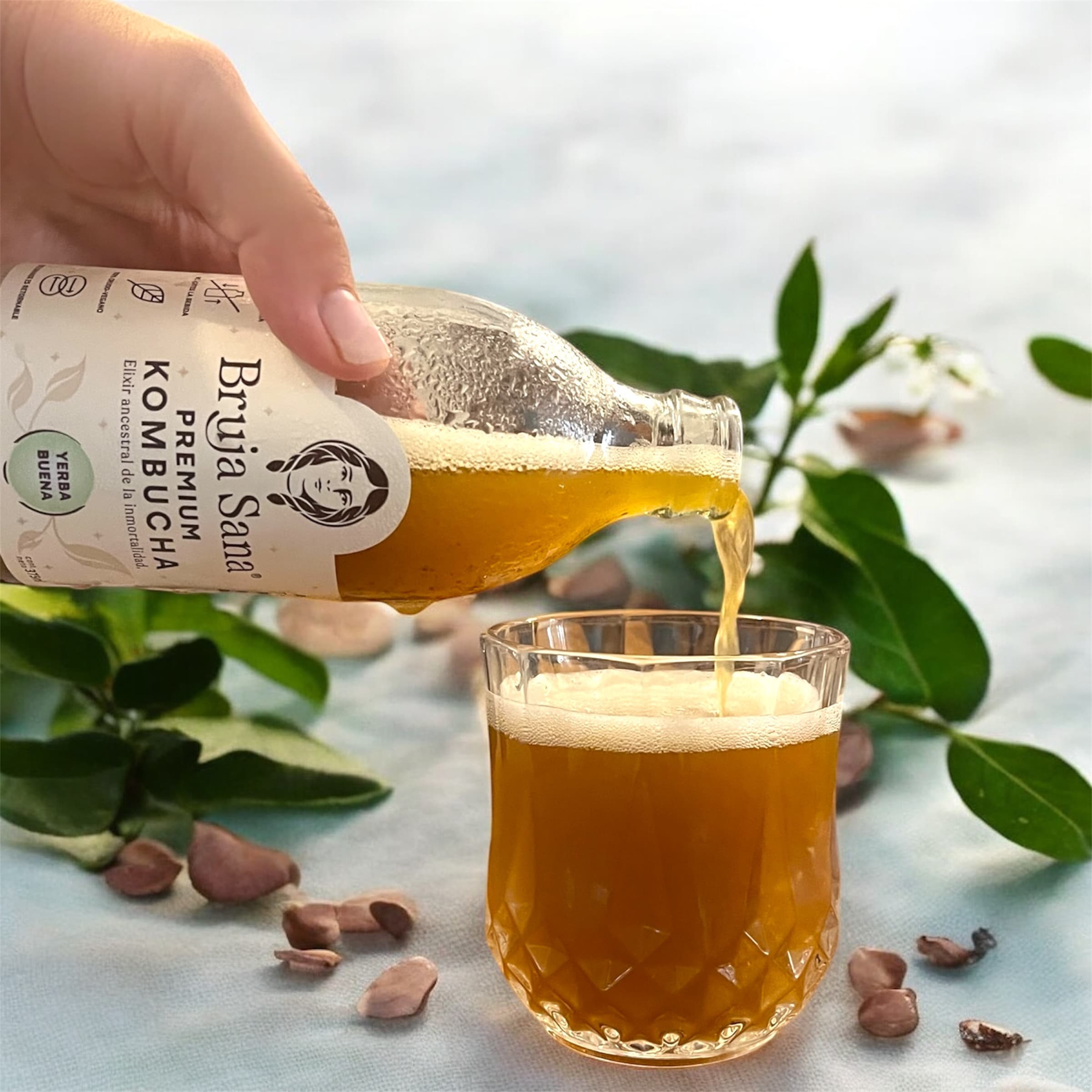 Los siete sabores de Kombucha Bruja Sana, juntos