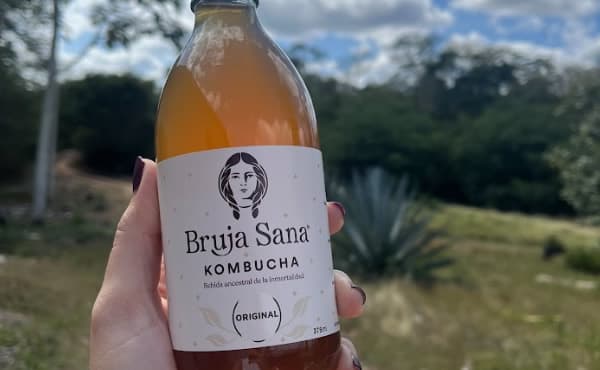Comunidad y producción artesanal en Yucatán