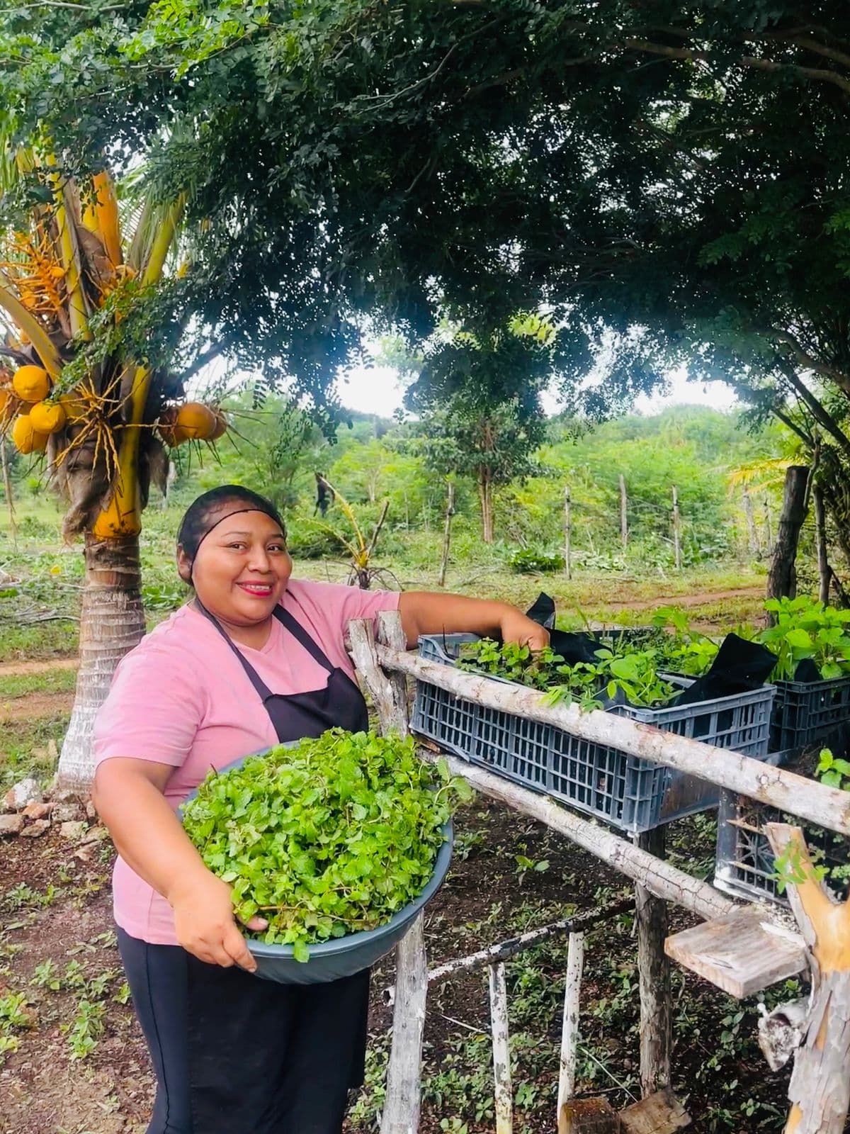 El jardín de hierbas de Bruja Sana en Yucatán