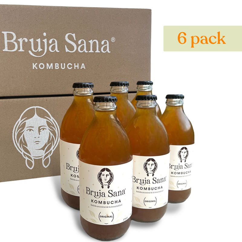 kombucha 6 pack